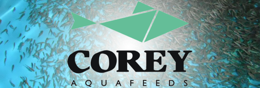 Corey Aquafeed Trout Food