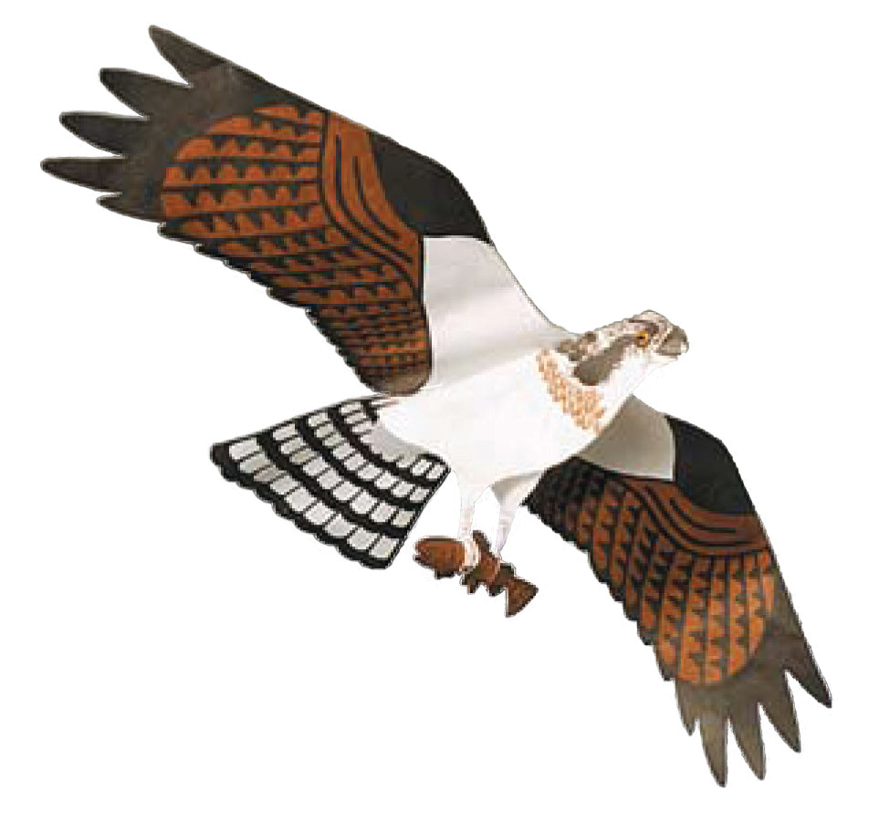 Predator Bird Kites