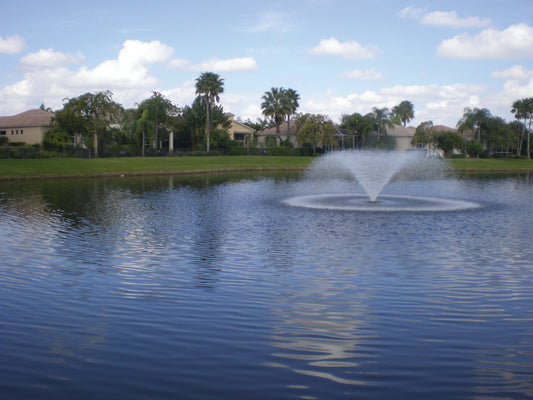 How Does Pond Dye Work?