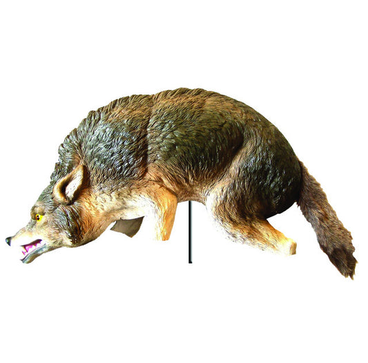 3D Coyote Decoy