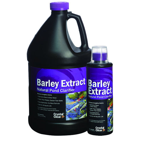 Concentrated Barely Straw Extract