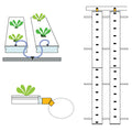 NFT Channels