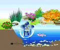 Floating Skimmer